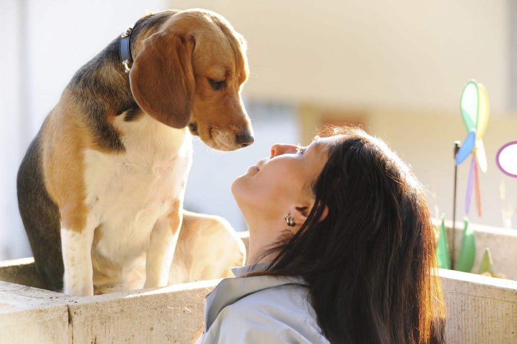 mamma apprensiva e cagnolino