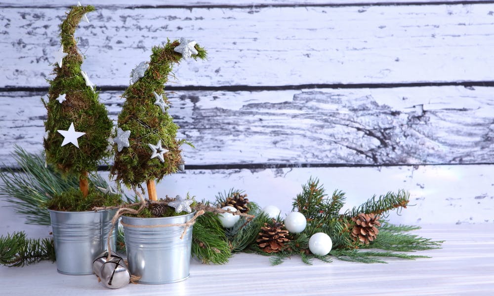 Quelles fleurs pour votre décoration de Noël ?