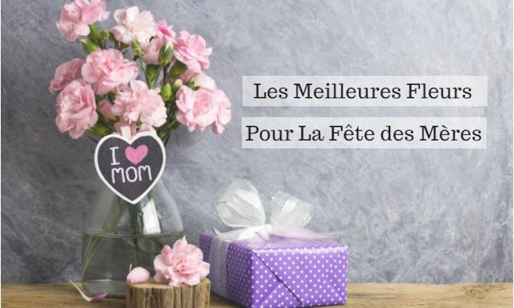 Les Meilleures Fleurs pour la Fête des Mères