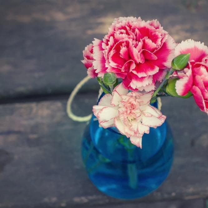 Les Meilleures Fleurs pour la Fête des Mères