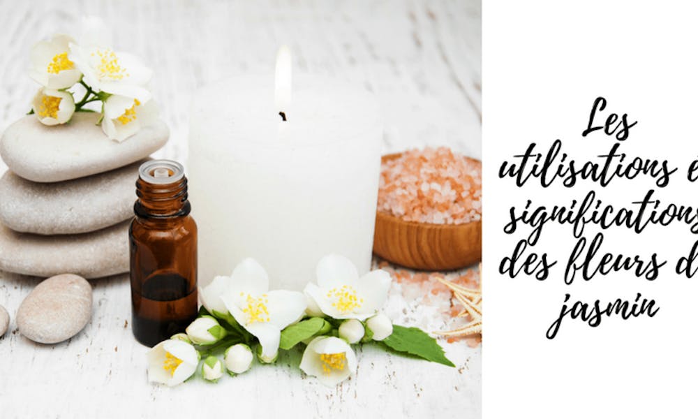 Les utilisations et significations des fleurs de jasmin