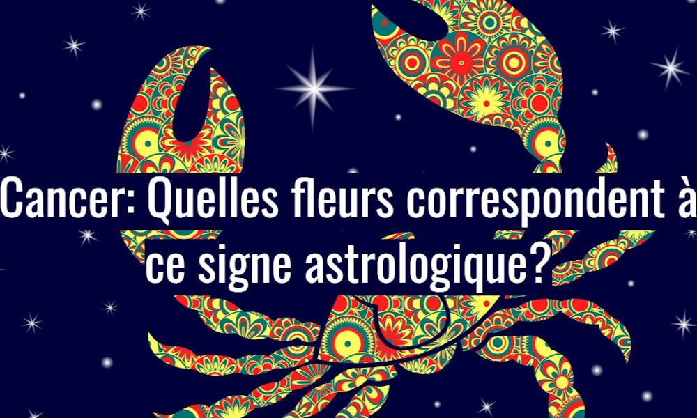 Cancer: Quelles fleurs correspondent à ce signe astrologique?