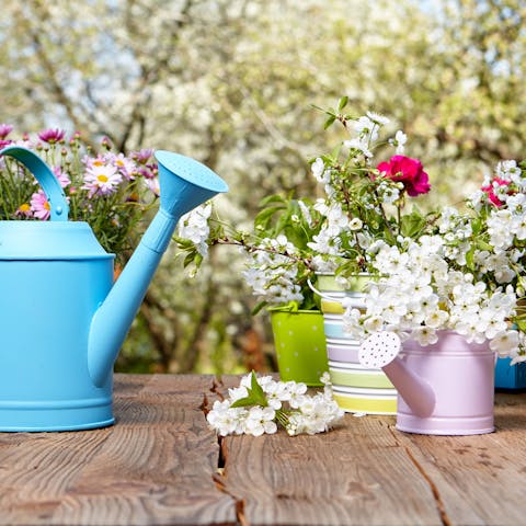 8 Fleurs Vivaces qui Fleurissent Tout l’Été