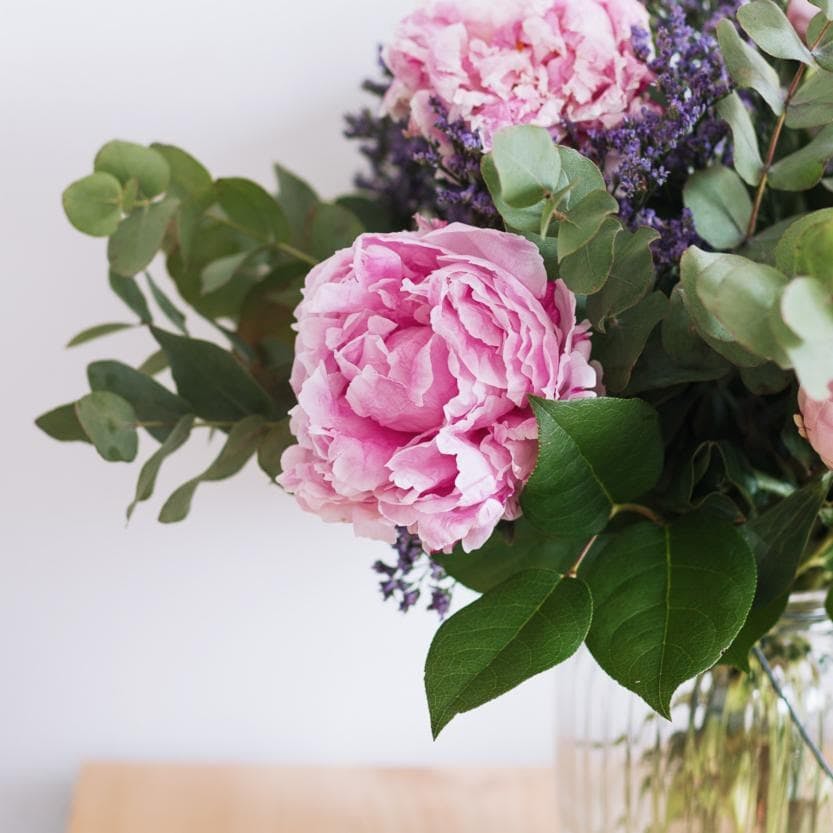 Quelles sont les Astuces pour Faire Éclore des Pivoines Rapidement ?