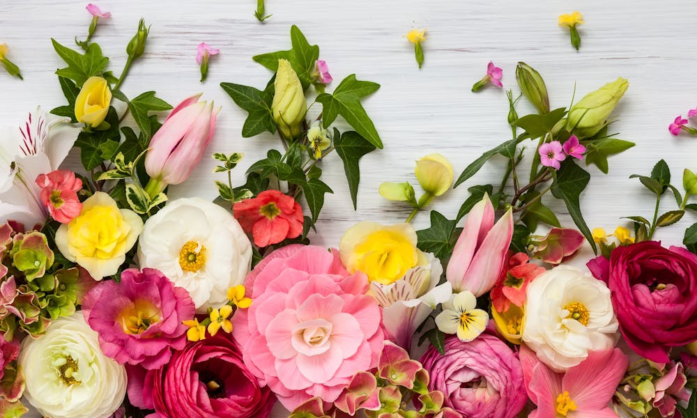 7 fleurs à ne surtout pas offrir à la Saint-Valentin !