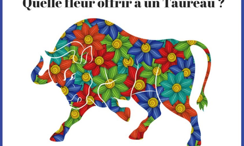 Fleurs et Signes du Zodiaque : Quelle fleur offrir à un Taureau ?
