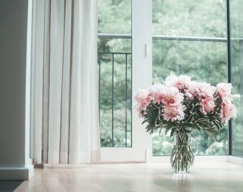 Les Meilleures Fleurs pour un Intérieur Feng Shui