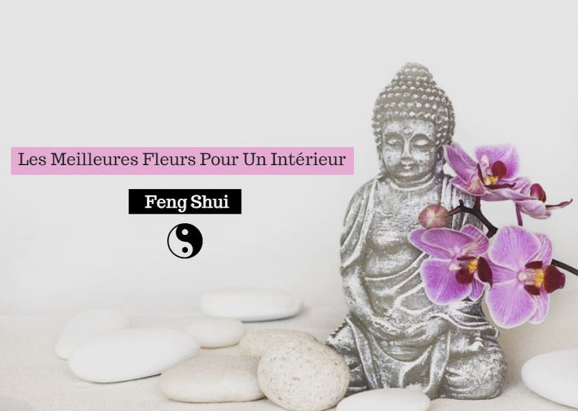 Les Meilleures Fleurs pour un Intérieur Feng Shui