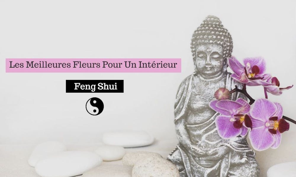 Les Meilleures Fleurs pour un Intérieur Feng Shui