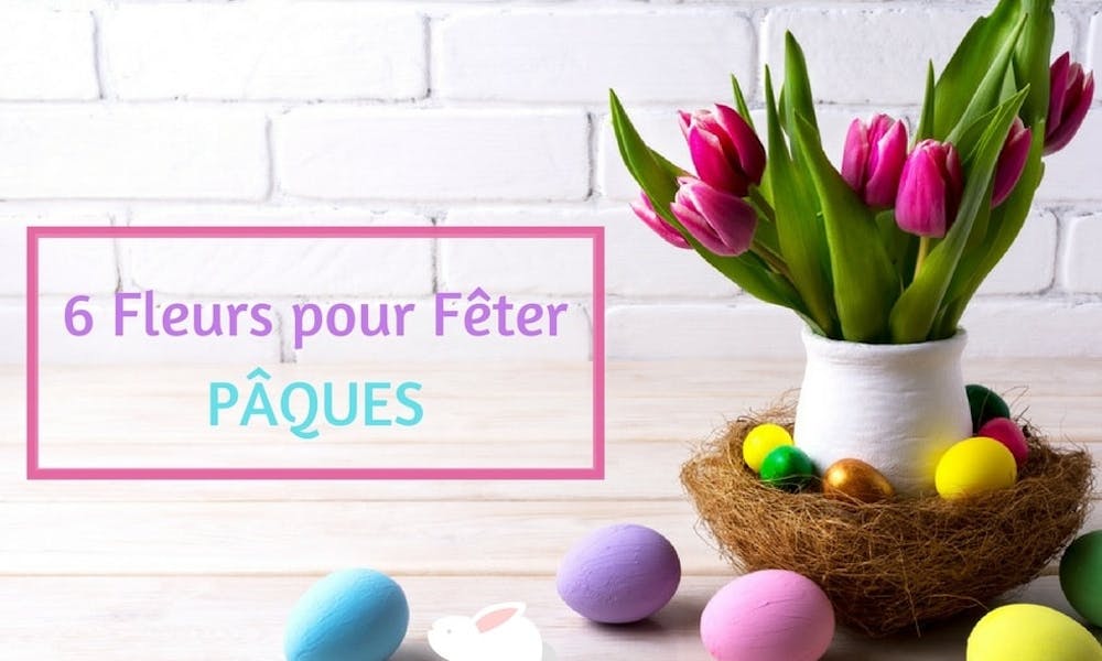 Pâques : Quelles fleurs choisir pour fêter l’événement ?