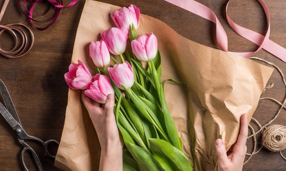 Tulipes coupées : Nos astuces pour les faire éclore et augmenter leur durée de vie !