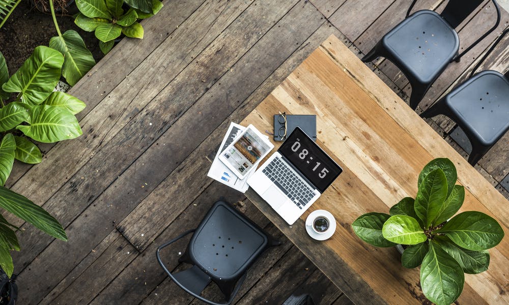 Quelles fleurs pour décorer votre bureau ?