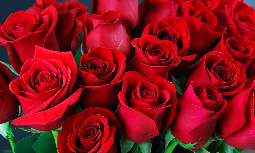 3, 12 ou 24 : Signification du nombre de roses rouges