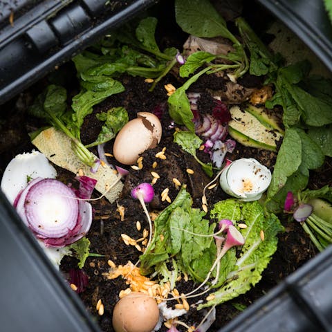 Comment faire son compost soi-même ?