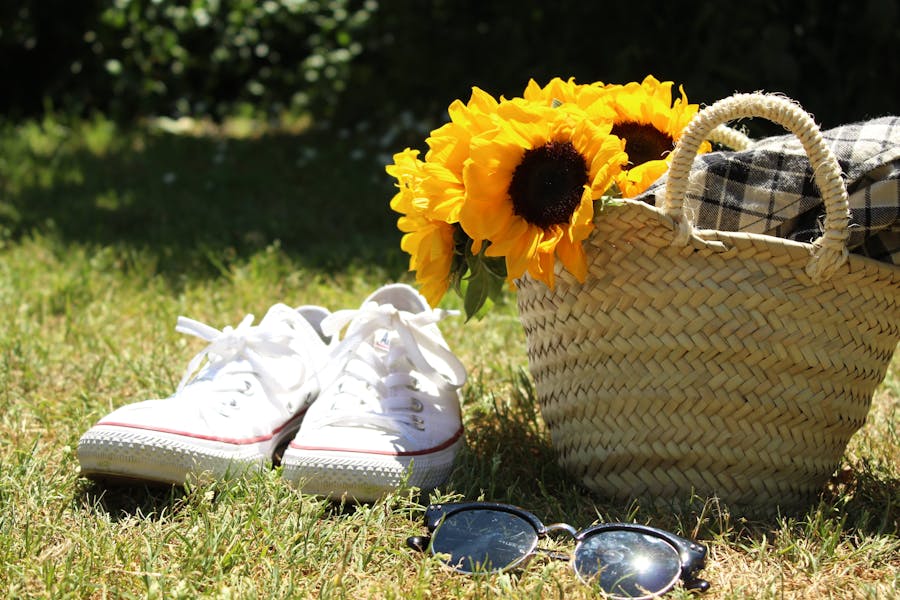 La fleur du mois : le tournesol