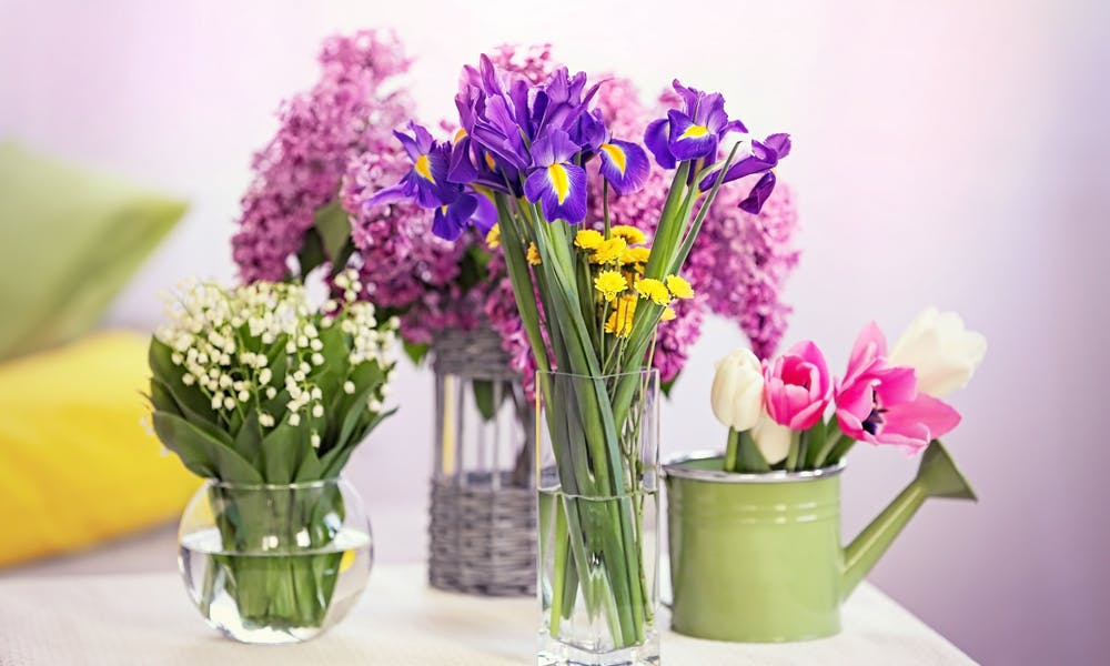 Comment choisir ses fleurs pour son intérieur ?