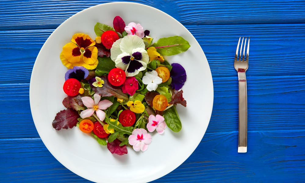 Comment cuisiner avec des fleurs comestibles ?