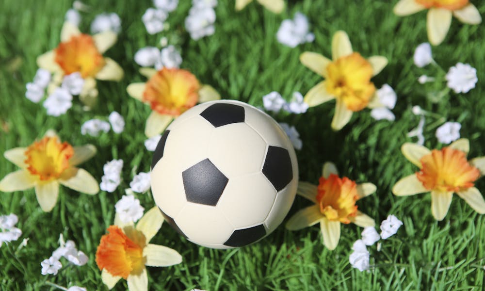 Quelles fleurs offrir aux bleus pour l’Euro de football 2016 ?