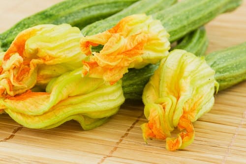 Corgette flowers