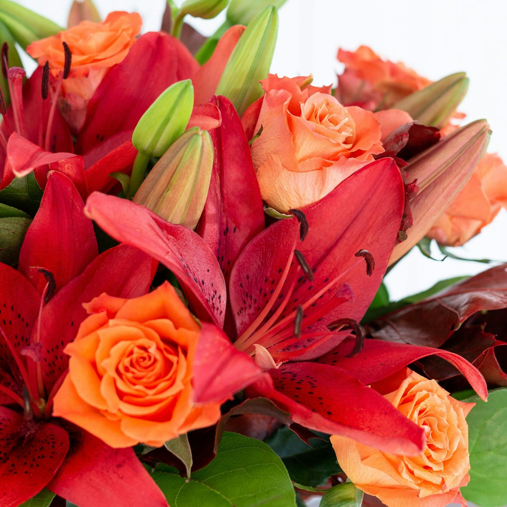 Red lilies orange roses, closeup Autumnal splendour