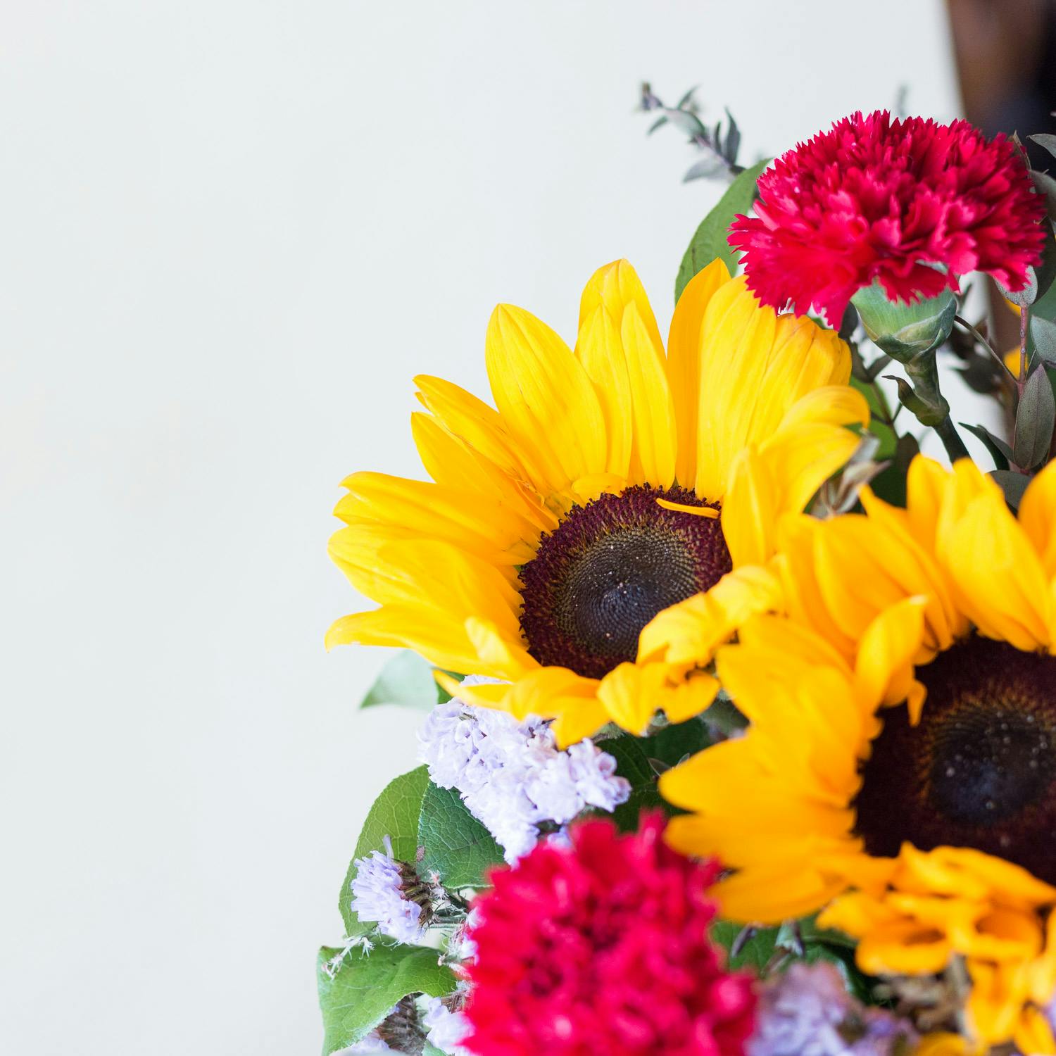 Sunflowers and red carnations