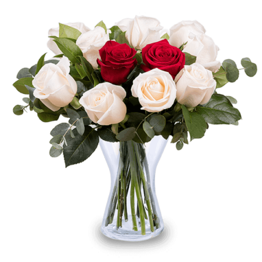 Red and white roses in a glass vase