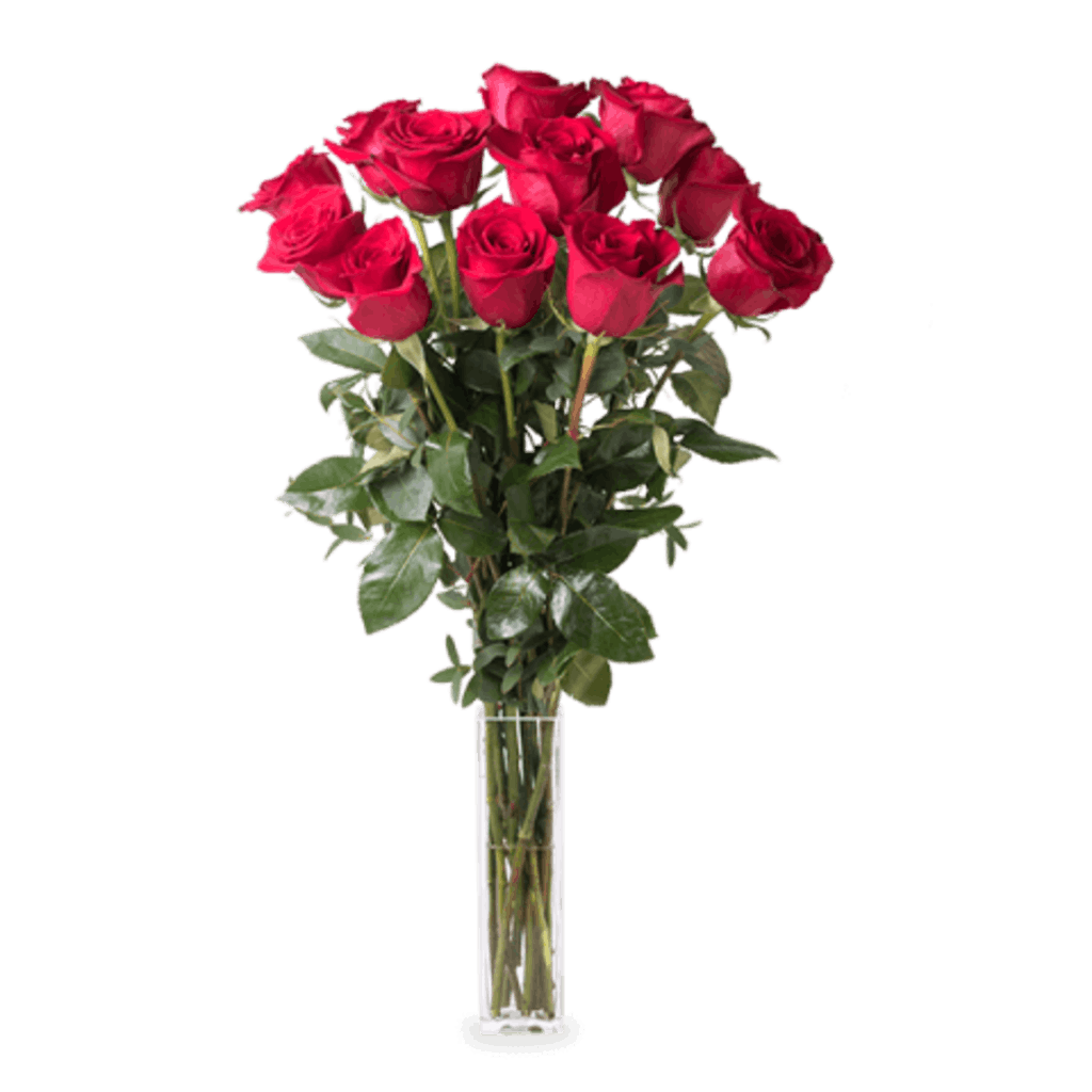 12 long stemmed red roses in a vase