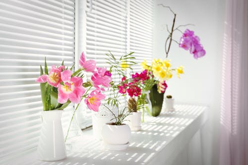 Flowers on the windowsill