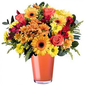 gerbera flowers for men