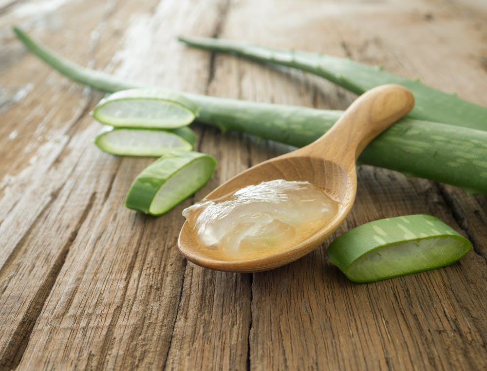 medicinal plants aloe vera