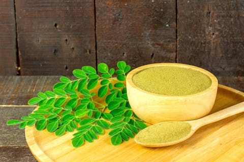 Cultivo y cuidado de plantas de moringa: una guía completa para cultivar y nutrir este superalimento nutritivo