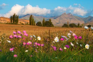 Golden Gate National Park, Free State, South Africa