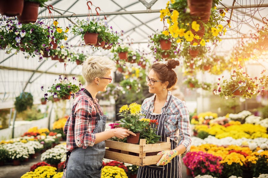 La Mejor Floristería Cerca De Mi