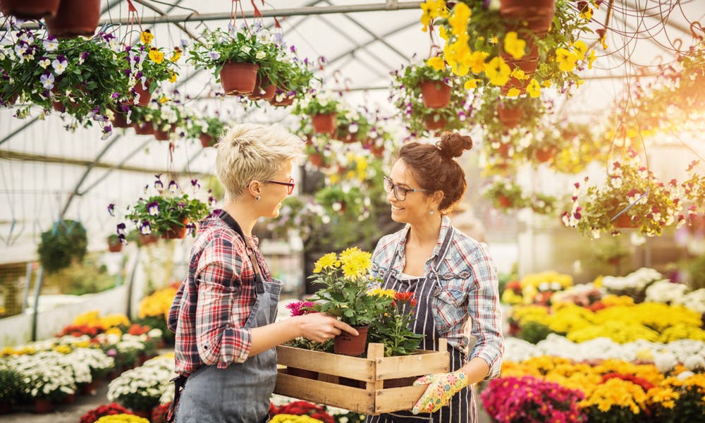 La Mejor Floristería Cerca De Mi