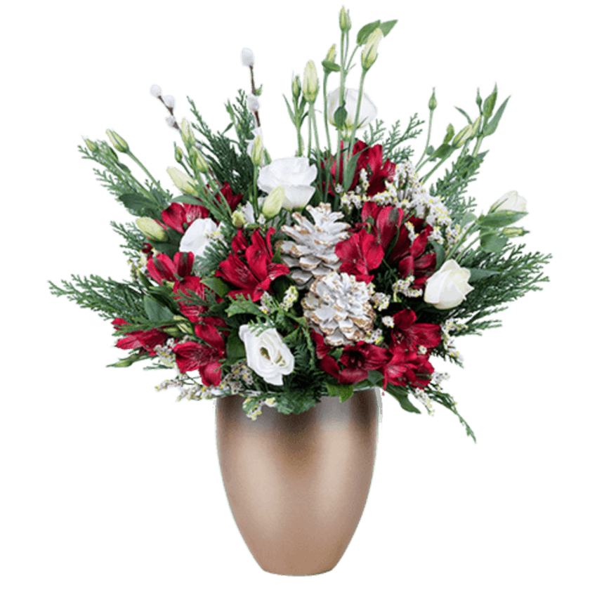 Flores para una Navidad de ensueño