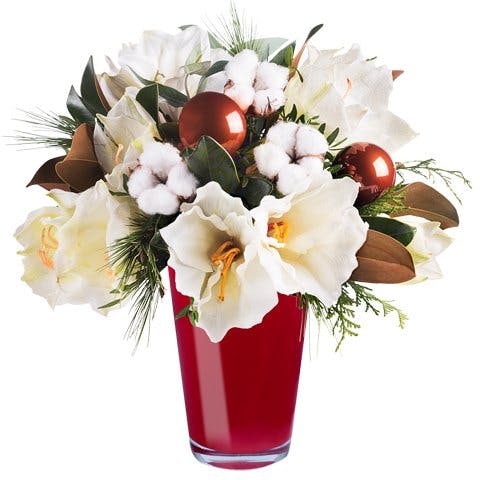 Flores para una Navidad de ensueño