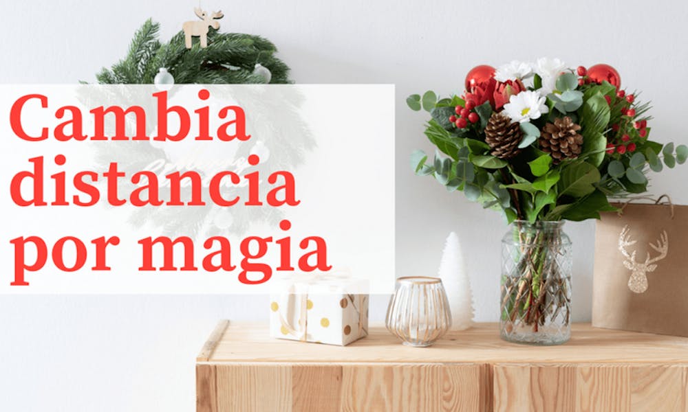 Flores para una Navidad de ensueño