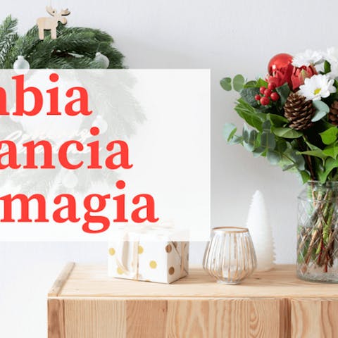 Flores para una Navidad de ensueño