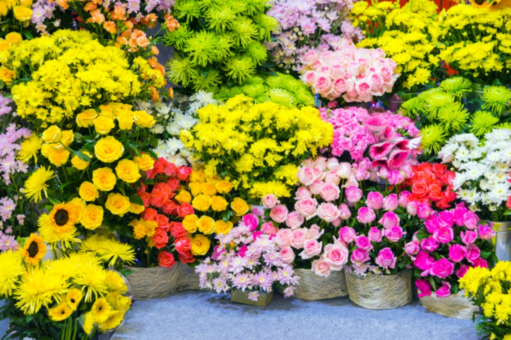 tienda de flores