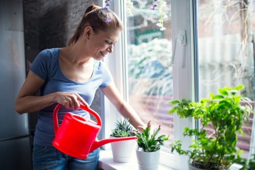 Una señora que riega alegremente las plantas