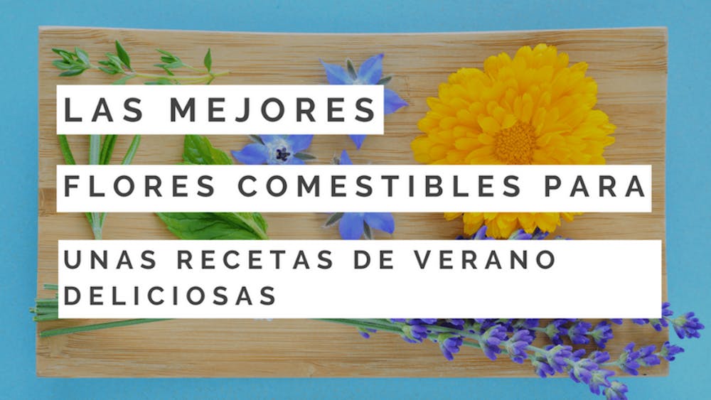 Las mejores flores comestibles para unas recetas de verano deliciosas