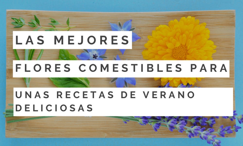 Las mejores flores comestibles para unas recetas de verano deliciosas