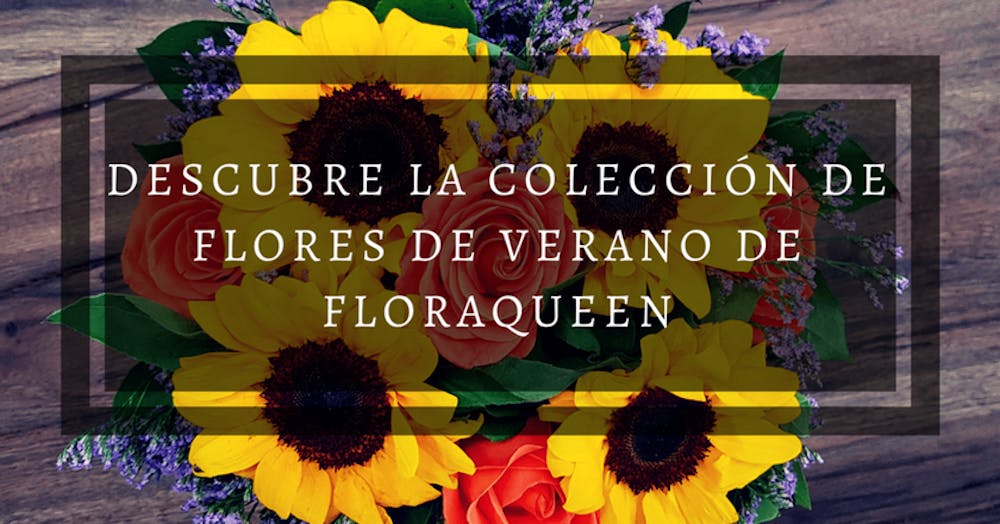 Descubre la colección de flores de verano de FloraQueen