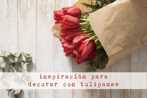 Decoración con tulipanes: tres ideas originales