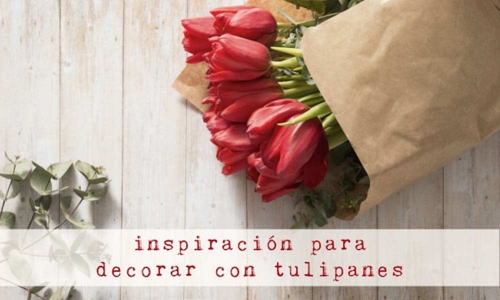 Decoración con tulipanes: tres ideas originales