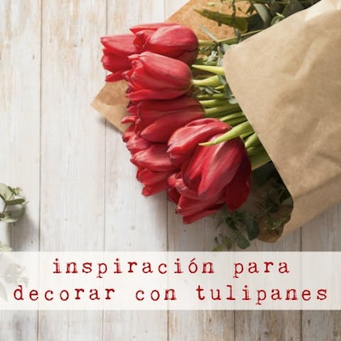Decoración con tulipanes: tres ideas originales
