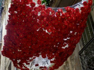 Los festivales de flores que no te querrás perder