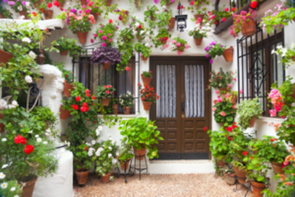 Los festivales de flores que no te querrás perder