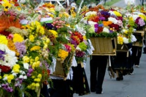 Los festivales de flores que no te querrás perder