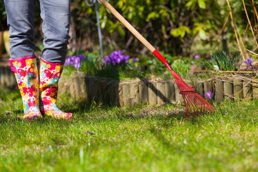 ¿Qué plantas florecen en octubre?